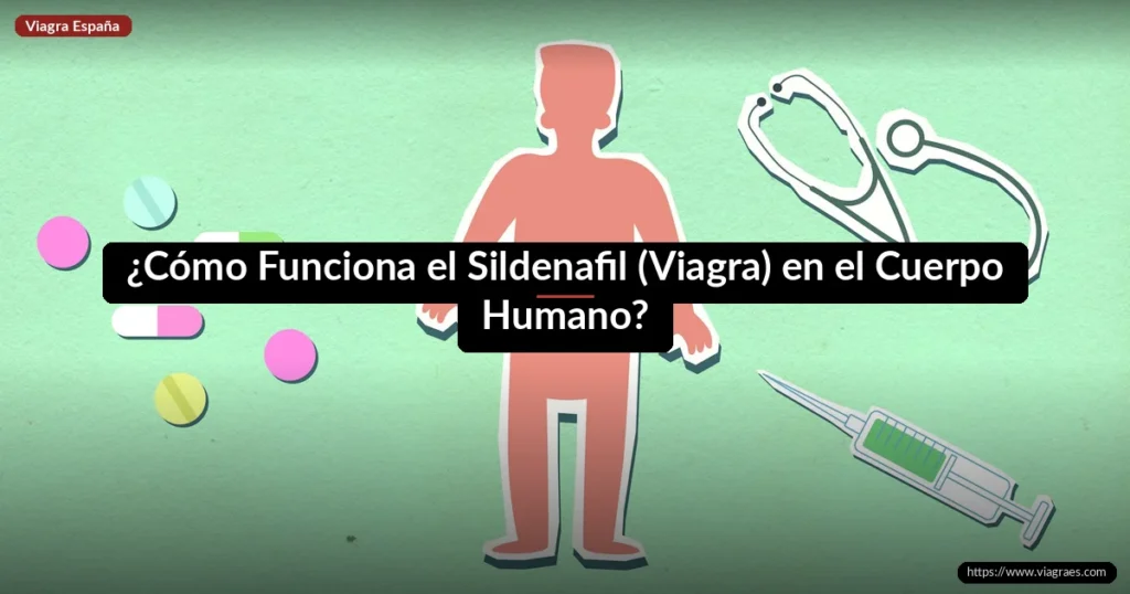 ¿Cómo Funciona el Sildenafil (Viagra) en el Cuerpo Humano?