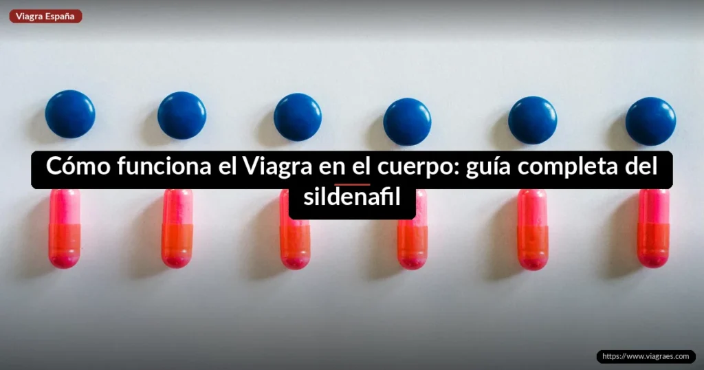 Cómo funciona el Viagra en el cuerpo: guía completa del sildenafil