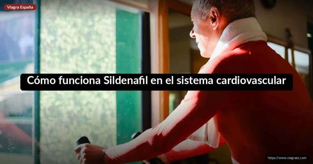 Cómo funciona Sildenafil en el sistema cardiovascular