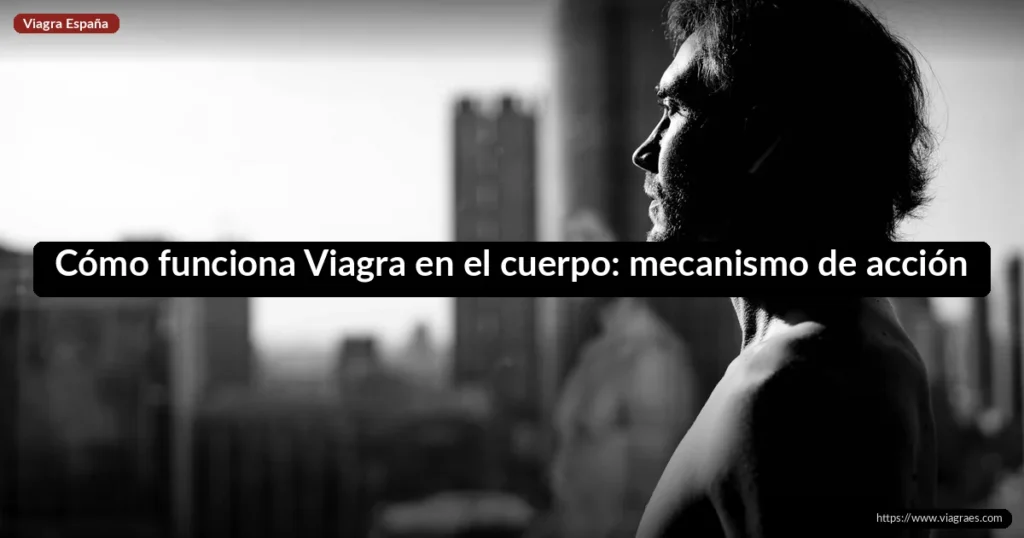 Cómo funciona Viagra en el cuerpo: mecanismo de acción