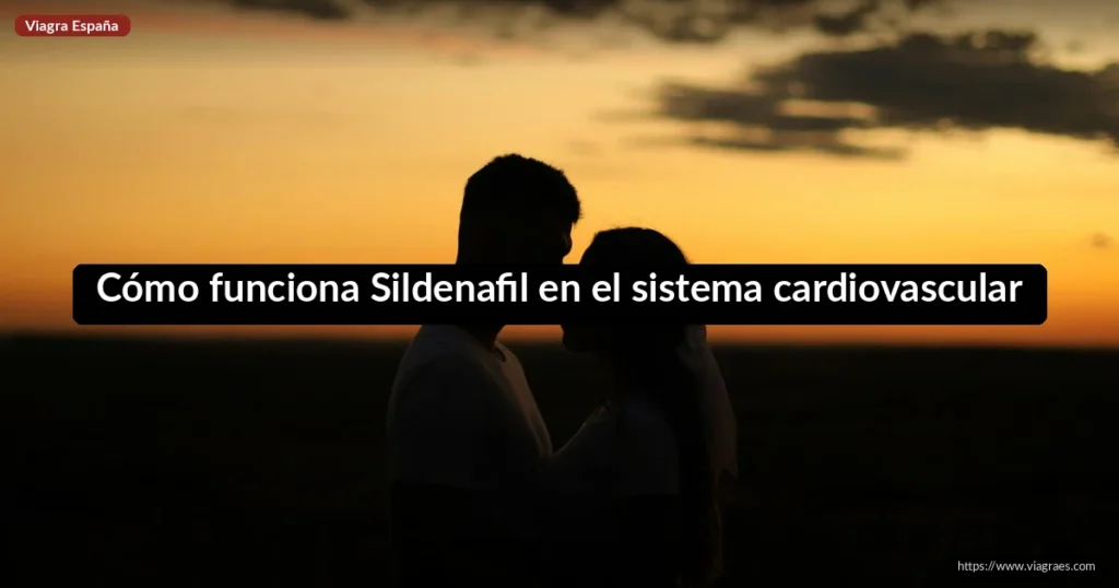 Cómo funciona Sildenafil en el sistema cardiovascular