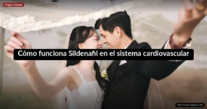 Cómo funciona Sildenafil en el sistema cardiovascular